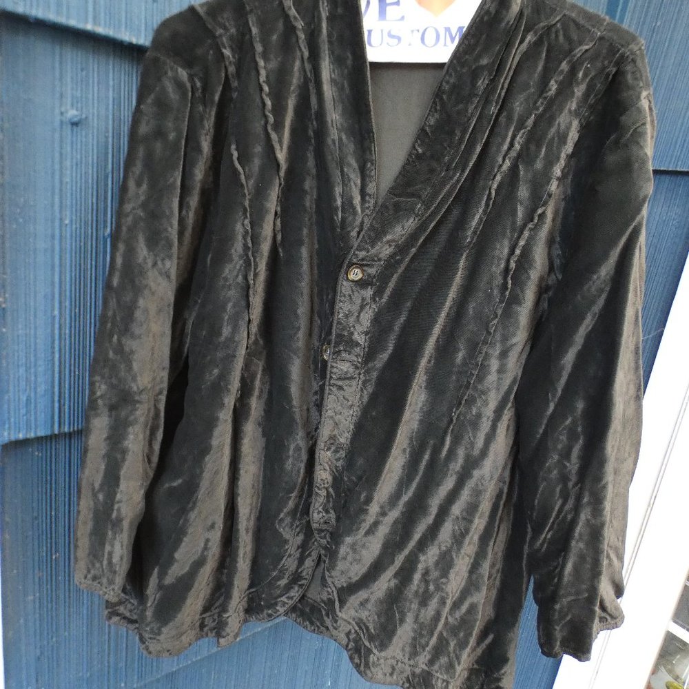 CP Shades Rayon Velvet Top